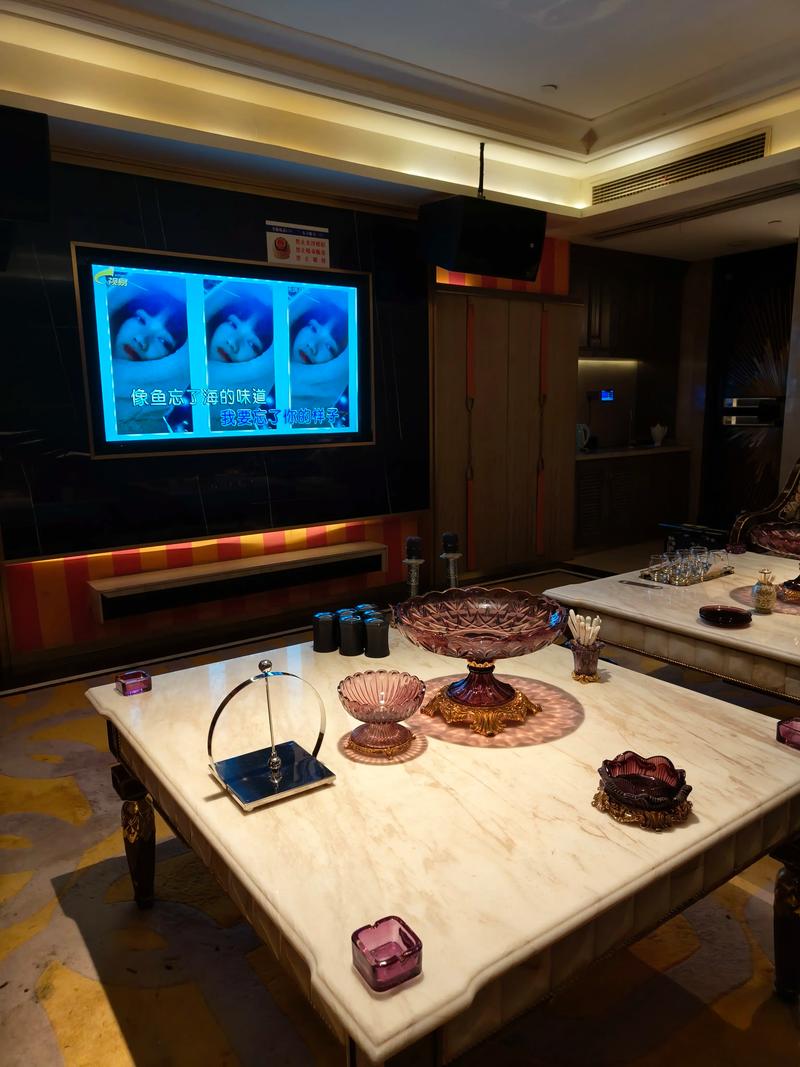 邵阳商务ktv推荐商务ktv哪里有选择-隆回县ktv预订